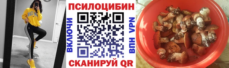 Галлюциногенные грибы мухоморы  наркотики  мега вход  Плавск 
